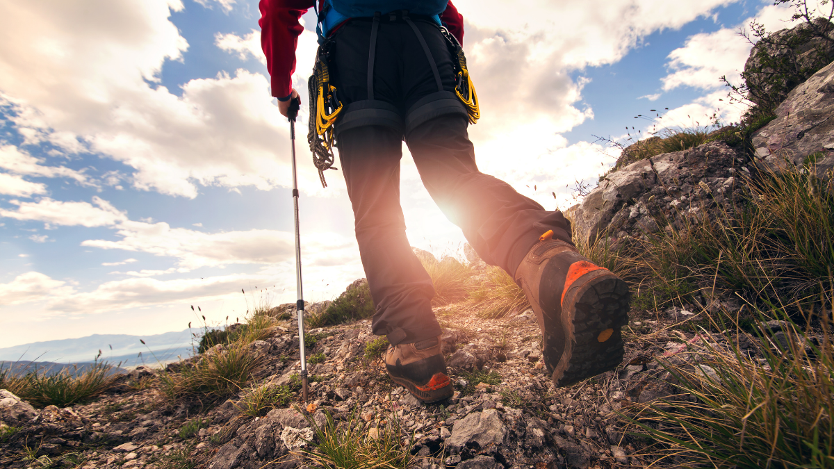 Nature Hike Saturday, July 10, 2021, 1100 AM Branch District